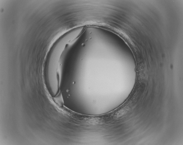 X0000060580991200511241337