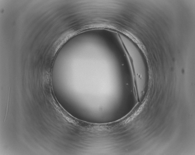 X0000060580993200511241337