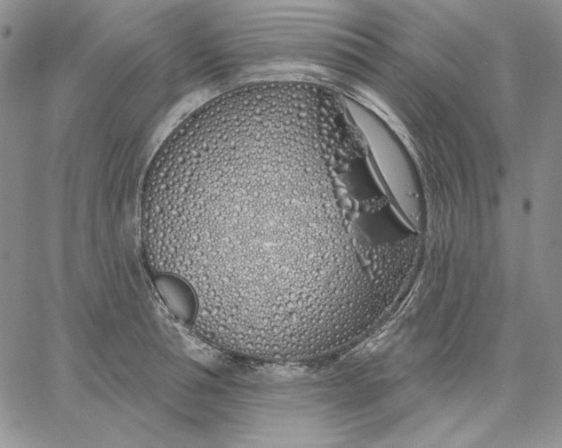 X0000060580994200511241337