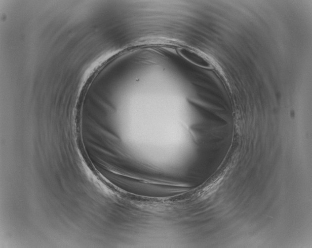 X0000060580995200511241336