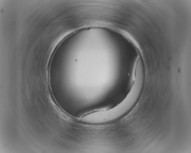 X0000060580996200511241336