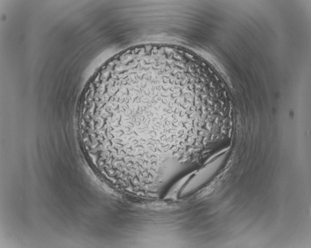 X0000060580998200511241336