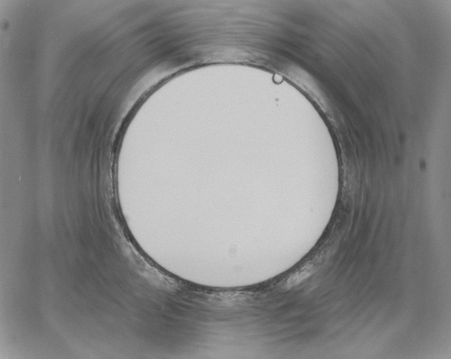 X0000060581000200511241336