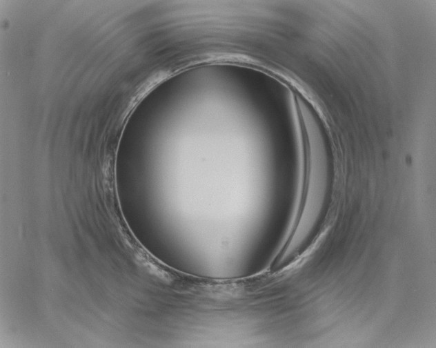 X0000060581001200511241336