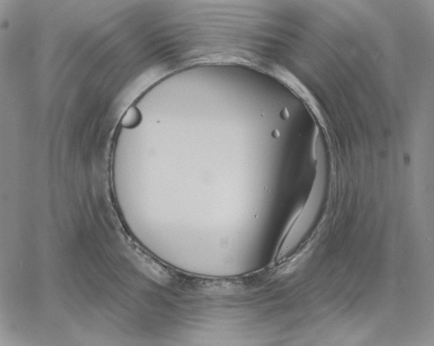 X0000060581002200511241336