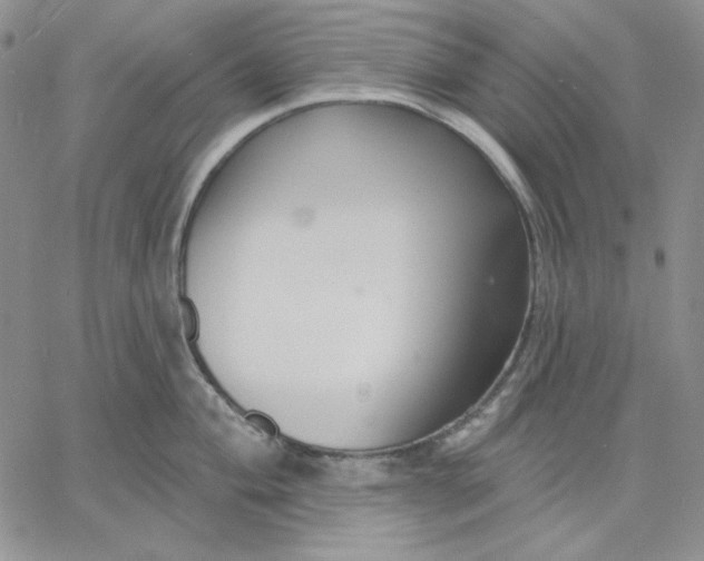 X0000060581004200511241336