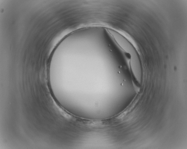 X0000060581006200511241336