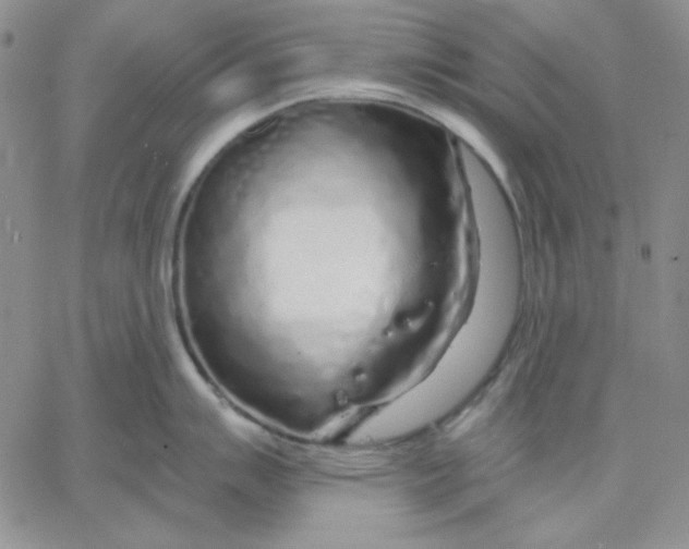 X0000060581007200511241336