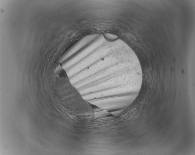 X0000060581009200511241336