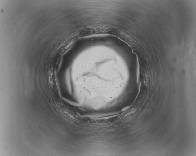 X0000060581010200511241336