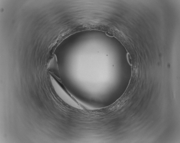 X0000060581012200511241336