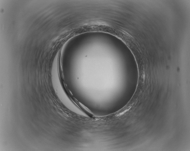 X0000060581014200511241336