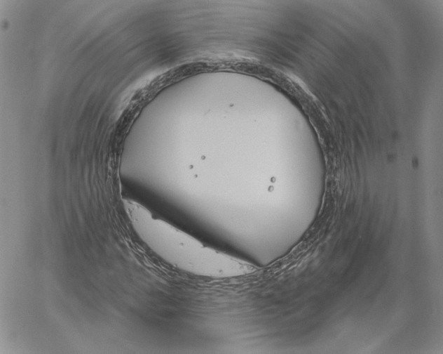 X0000060581016200511241336