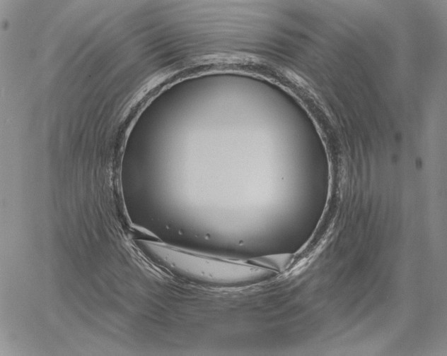 X0000060581017200511241336