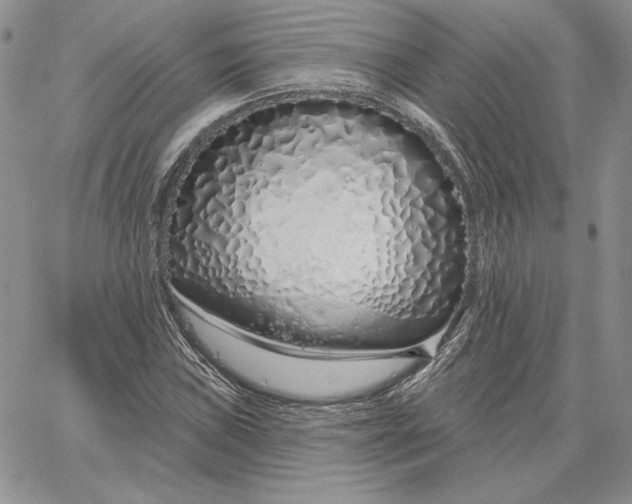 X0000060581019200511241336