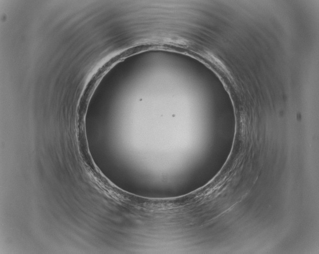 X0000060581020200511241336