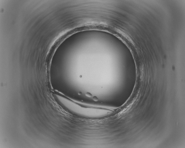 X0000060581021200511241336