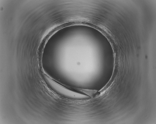 X0000060581022200511241336