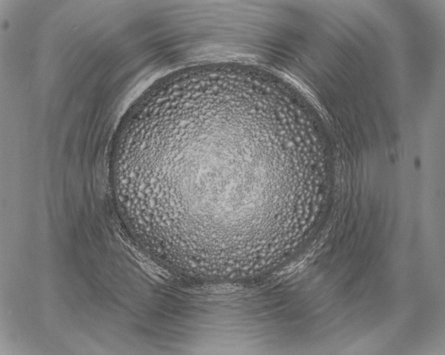 X0000060581023200511241336