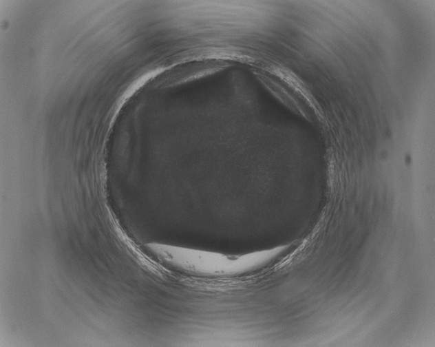 X0000060581024200511241336