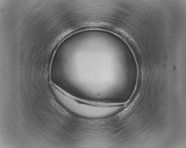 X0000060581025200511241336