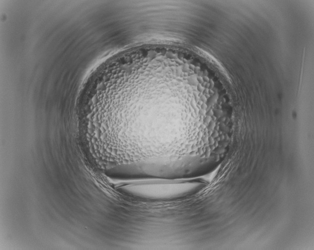 X0000060581027200511241336