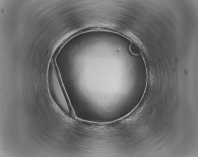 X0000060581028200511241336