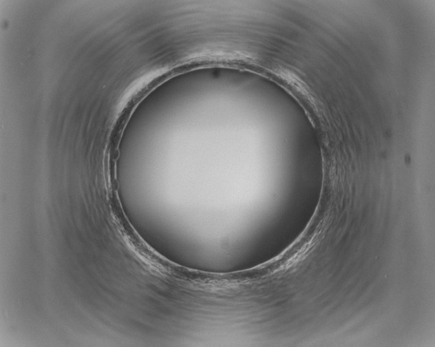 X0000060581030200511241336