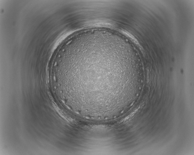 X0000060581031200511241336