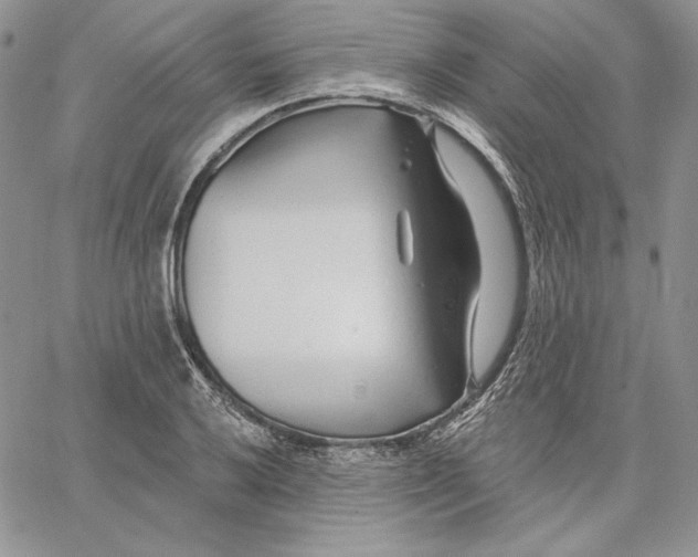 X0000060581032200511241336