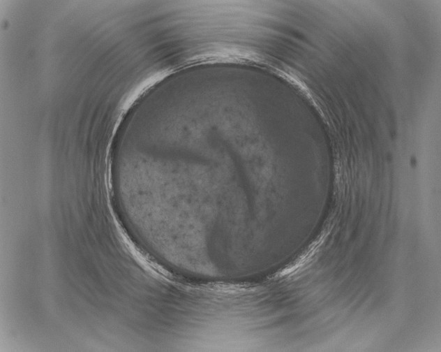 X0000060581034200511241336