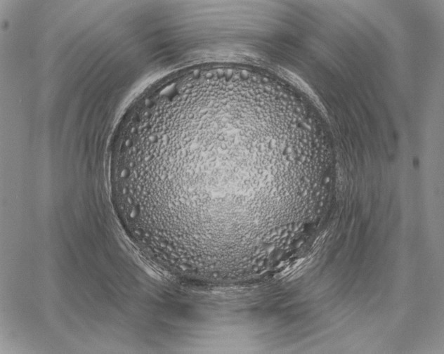 X0000060581035200511241336