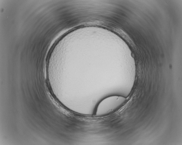 X0000060581036200511241336