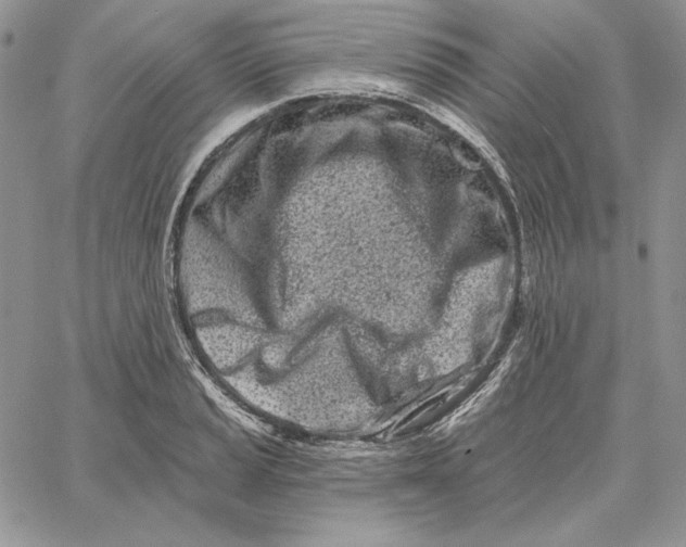 X0000060581037200511241336