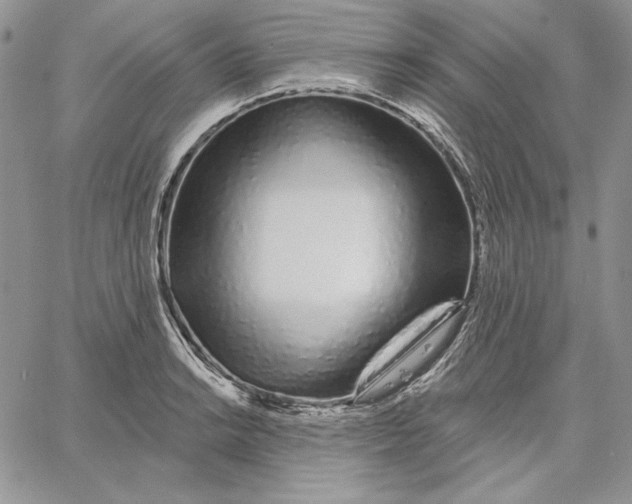 X0000060581038200511241336