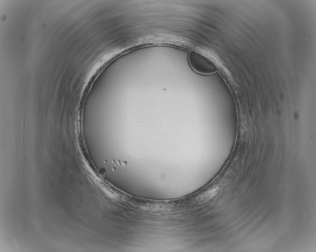 X0000060581040200511241336