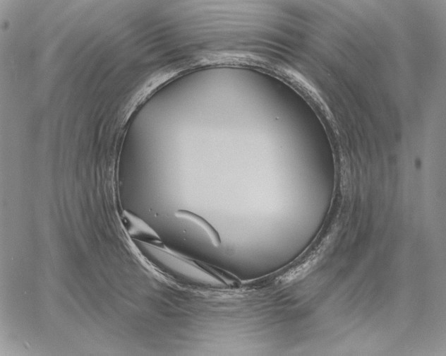 X0000060581041200511241336