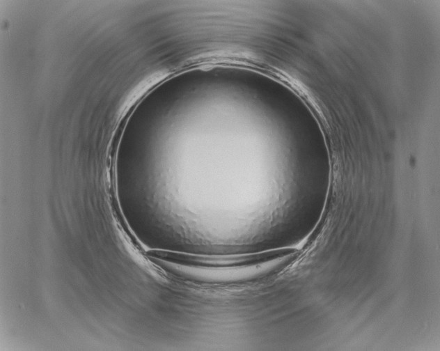 X0000060581042200511241336