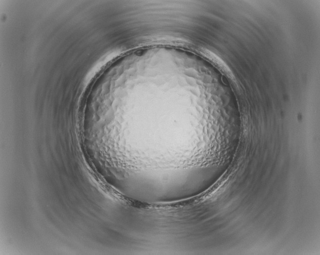 X0000060581043200511241336