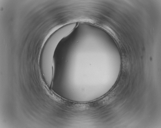 X0000060581044200511241336