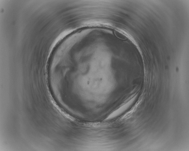 X0000060581045200511241336