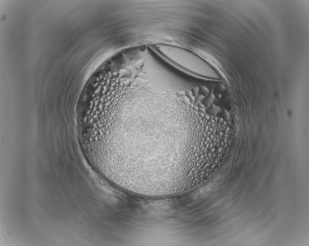 X0000060581047200511241336