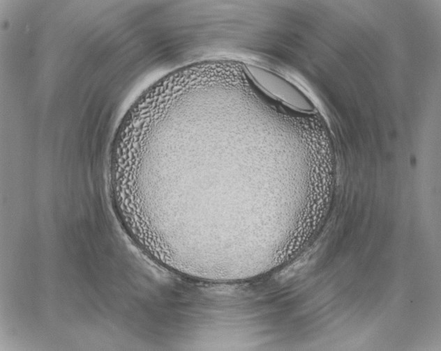 X0000060581048200511241336