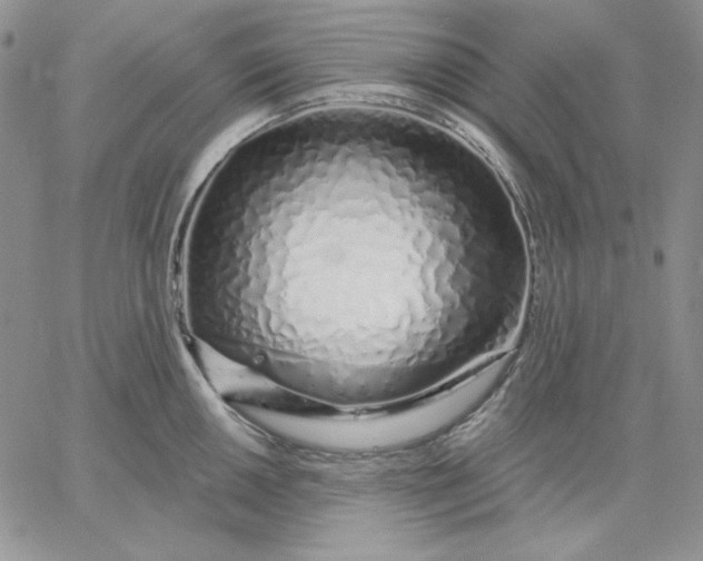 X0000060581050200511241336