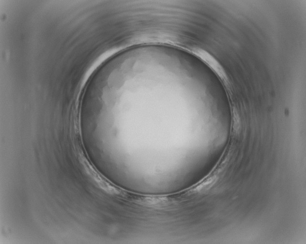 X0000060581052200511241336