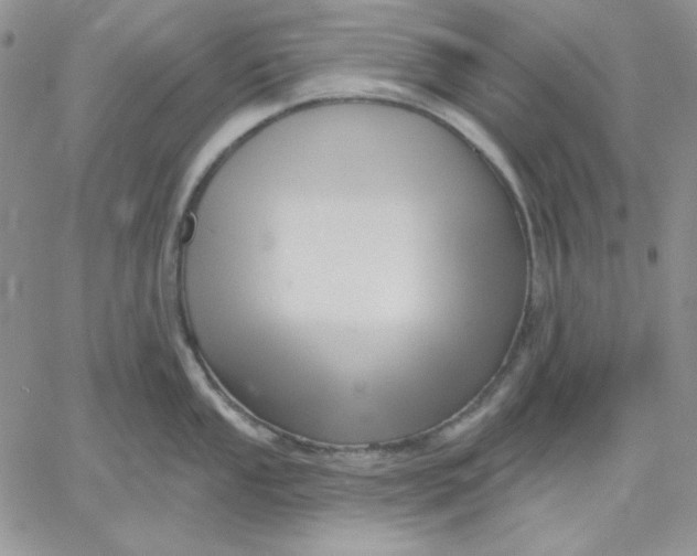 X0000060581053200511241336