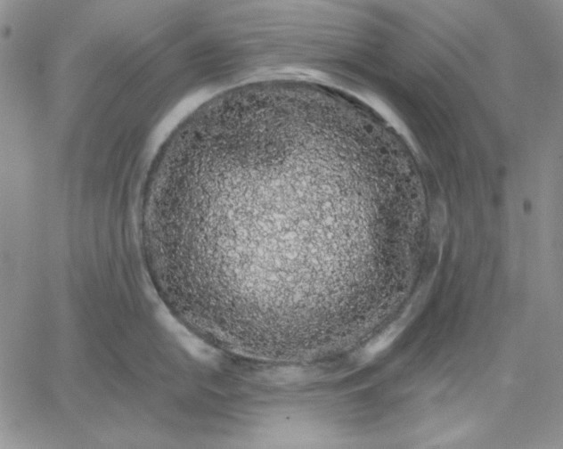 X0000060581054200511241336