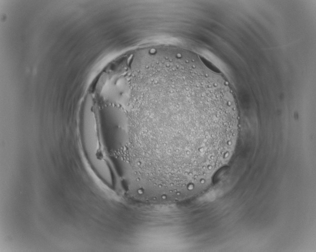 X0000060581055200511241336