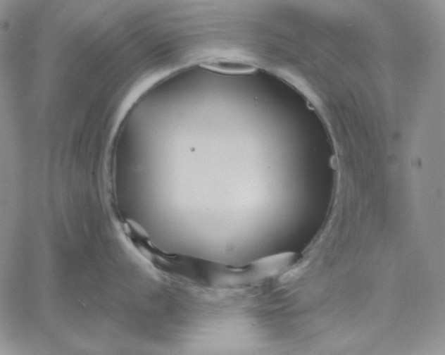 X0000060581056200511241336