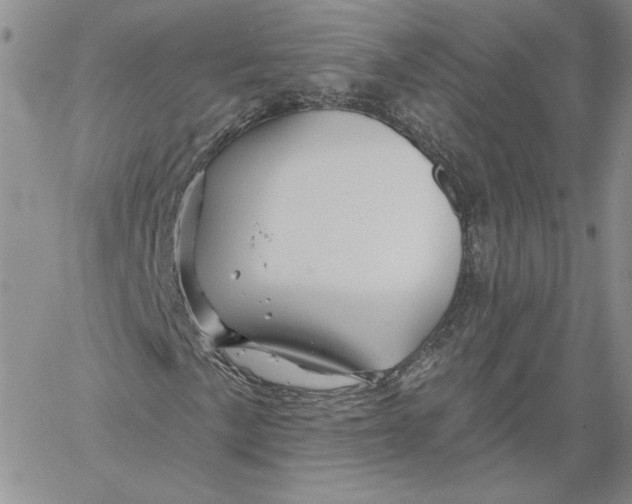 X0000060581057200511241336